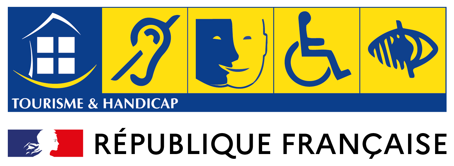 Handicap Auditif Mental Moteur Visuel